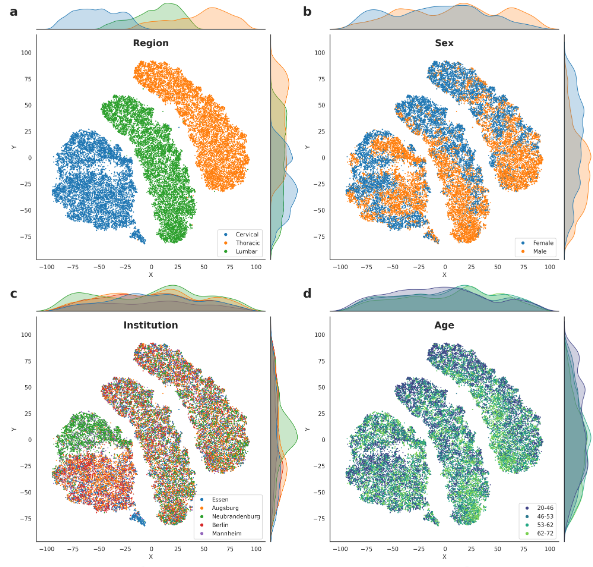 Towards Fair and Accurate Medical Image Embeddings
